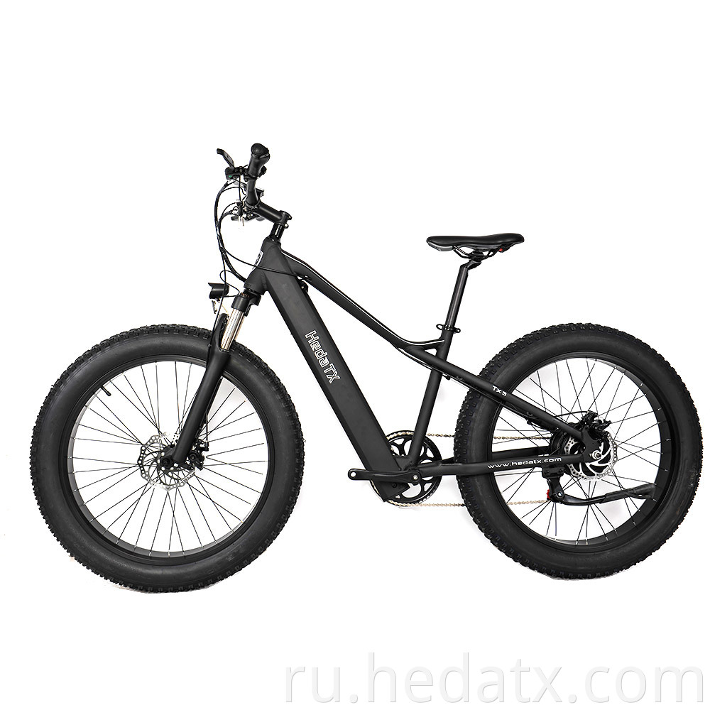 Foldable Electric Fat Tire Bike